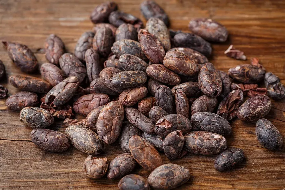 Cocoa Trade Blog